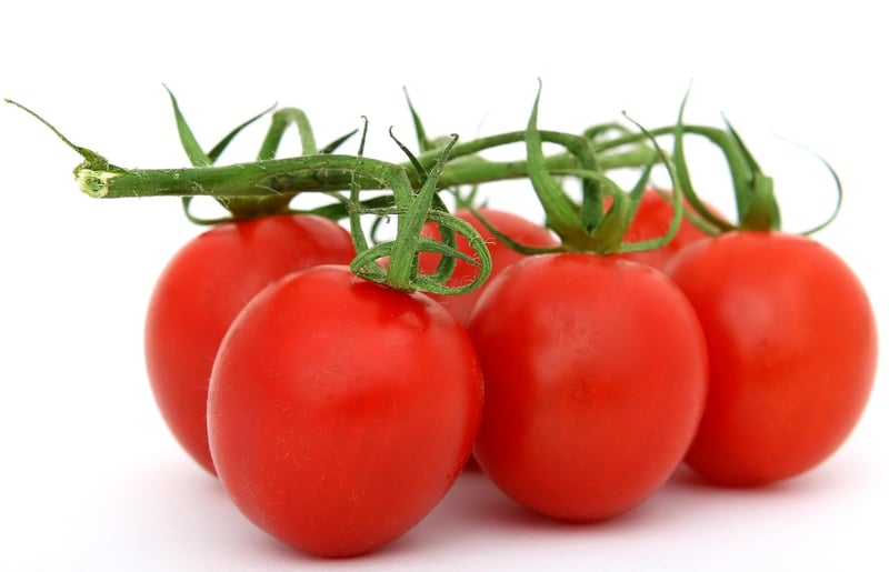 Diverse Culinary Traditions