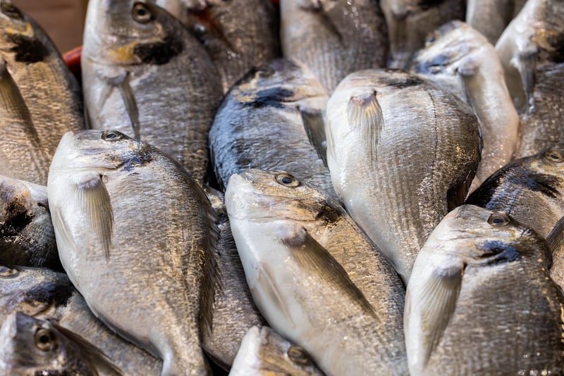 Seafood